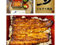 【Unagi no Bando (Eel Restaurant) @Mishima Sta. 】
https://www.unagi-bandou.com/

ランチは三島駅南口から徒歩１分の【うなぎの坂東】で。13:45から当日予約しておきました。写真は鰻3/4匹の「うな重 梅(4,070円)」。ビールと「しらすおろし(495円)」もいただいたので，ご飯は半量でお願いしています。肝吸いが付きます。

Ｍ君は鰻1匹の「うな重 桜(4,620円)」を。

ふっくらと香ばしく焼き上げられた鰻は最高（個人的には関西風の方が好みですが），タレの甘さは良いがもう少ししょっぱくてもいい感じ（追いダレをするとますます甘さが勝ってしまう），鰻の質に相応しく米も更に旨ければと思いました。今月22日から，一部メニューの価格改定が告知されています。
