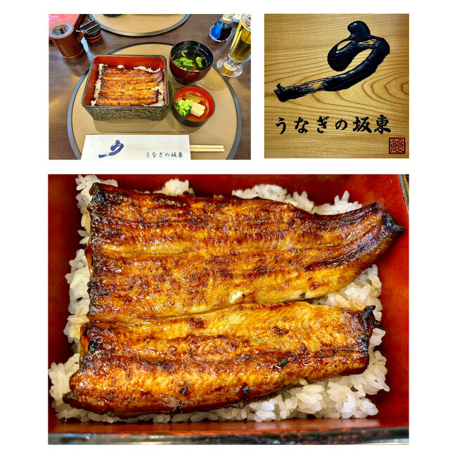 【Unagi no Bando (Eel Restaurant) @Mishima Sta. 】<br />https://www.unagi-bandou.com/<br /><br />ランチは三島駅南口から徒歩１分の【うなぎの坂東】で。13:45から当日予約しておきました。写真は鰻3/4匹の「うな重 梅(4,070円)」。ビールと「しらすおろし(495円)」もいただいたので，ご飯は半量でお願いしています。肝吸いが付きます。<br /><br />Ｍ君は鰻1匹の「うな重 桜(4,620円)」を。<br /><br />ふっくらと香ばしく焼き上げられた鰻は最高（個人的には関西風の方が好みですが），タレの甘さは良いがもう少ししょっぱくてもいい感じ（追いダレをするとますます甘さが勝ってしまう），鰻の質に相応しく米も更に旨ければと思いました。今月22日から，一部メニューの価格改定が告知されています。<br />