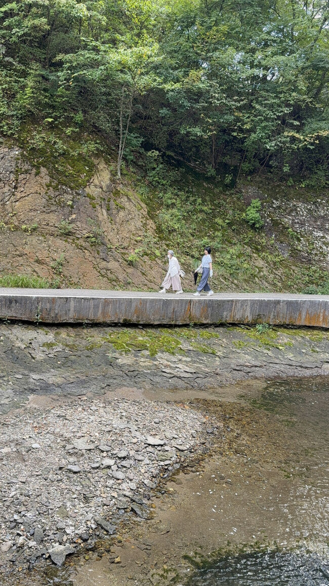 母も頑張ってついて来ましたが、やはり途中でリタイアしてました。