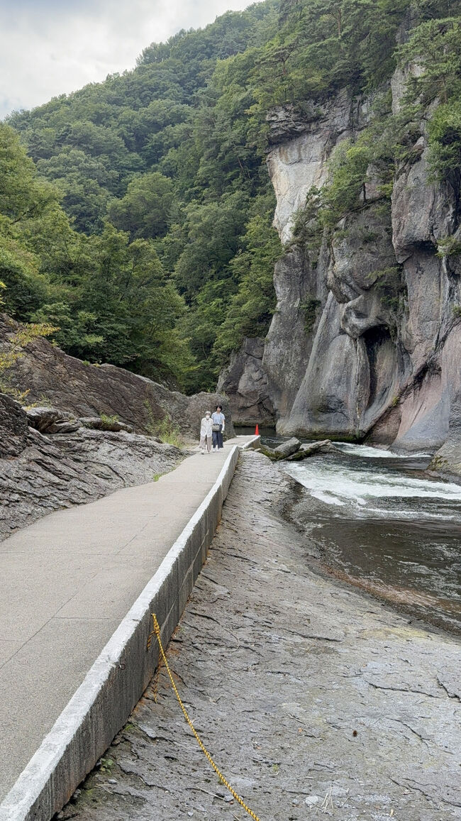 まだまだ、序の口ですがもうここでいい！みたいな感じです。