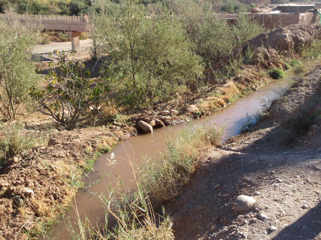 川が流れてるかと思ったら、これは灌漑用水でした。