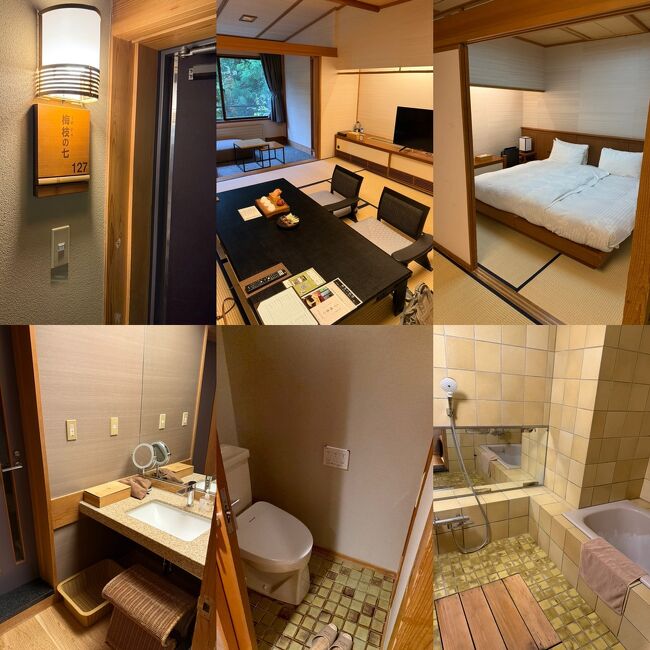 部屋のご紹介。母がベットでないと無理なので和洋特別室にしました。部屋食です。