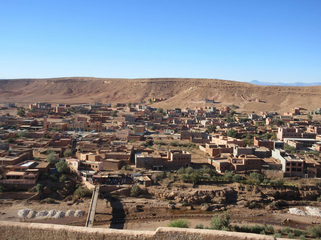 てっぺんまで登り切りました。