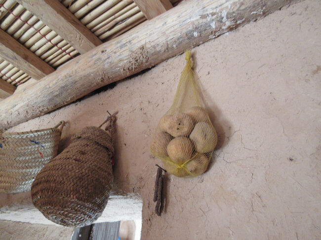 じゃがいもだね。