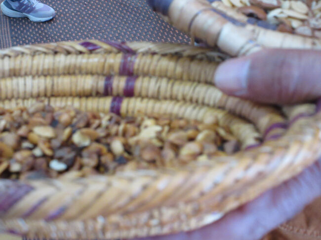 アルガンという実を乾燥させて。