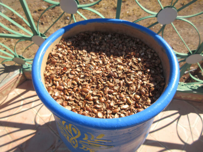 多分絞った後の殻だと思います。