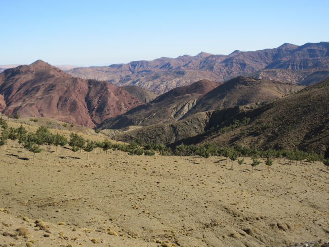 とても寒いです。