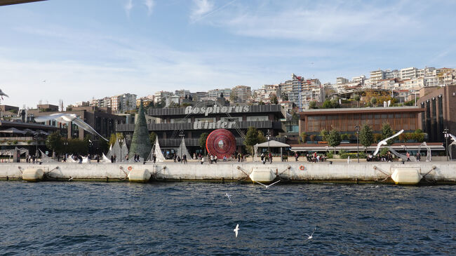 ボスポラス・ウインター？！<br />ちょっとしたモールかな?<br /><br />カモメも乱舞していました<br />(手渡しで餌をあげることは出来ませんでした、<br />　　寄り付くほど慣れていない模様)<br />