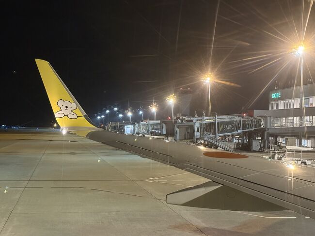 30分遅れでプッシュバック。自宅着は23時を過ぎるな。<br />札幌は吹雪らしい。カミさんに駅まで迎えに来てとLINEを送る。