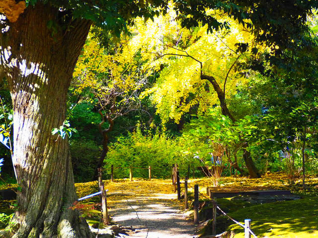 人が入らないように写真を撮っていますが、訪れている人は結構多く、半分はインバウンド客でした。<br />