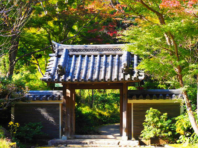 2時間ほどあれば園内を見て回れる。