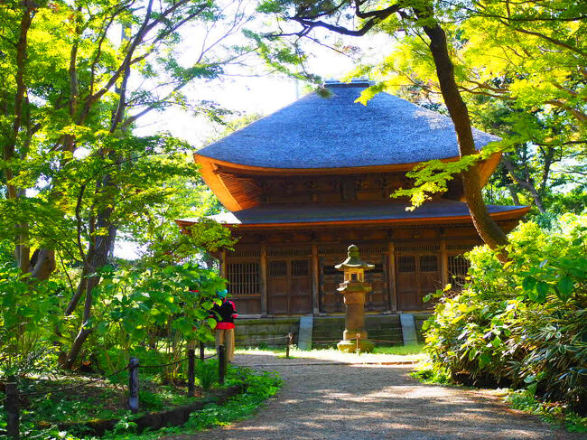 旧東慶寺仏殿<br /><br />東慶寺も明治初期のころはさびれていたそうな。