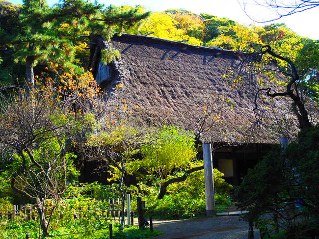 旧矢箆原家住宅