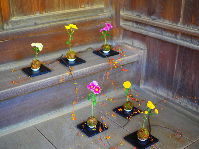 飛騨白川郷から移築された入母屋合掌造りの民家。