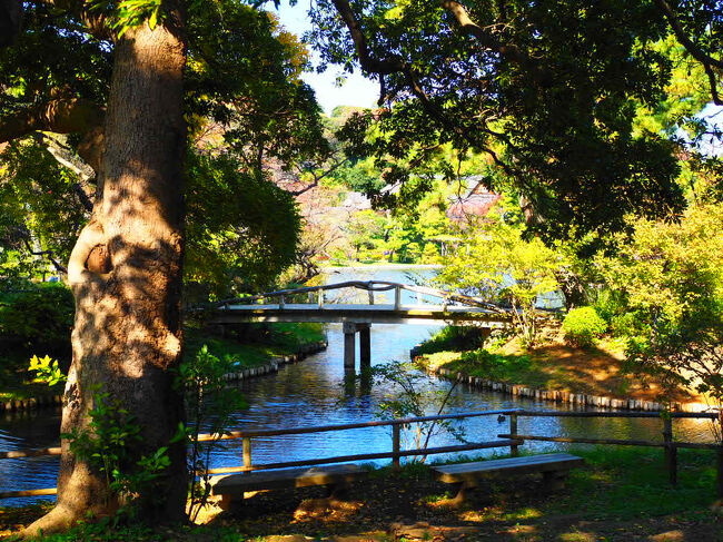 訪れたのは11月半ば。<br /><br />紅葉には少し早かった。