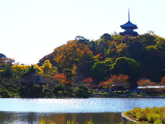 では、中華街へランチに行きますか。