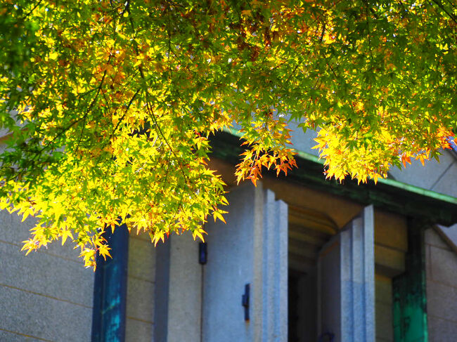 台風がほとんど来なかったのが幸い。