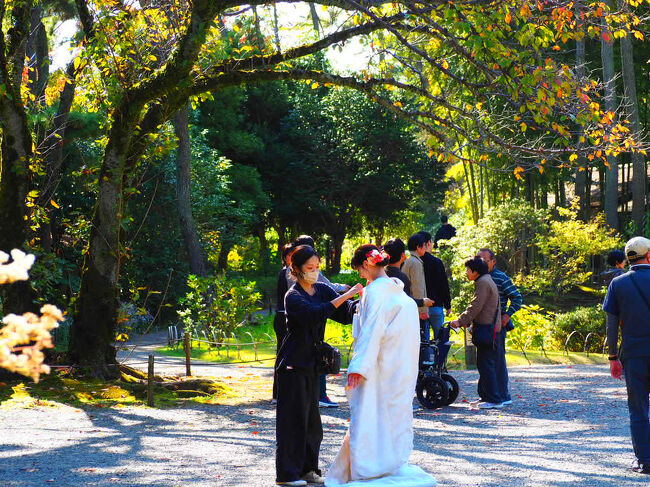 前撮りが何組か。<br /><br />お幸せに。