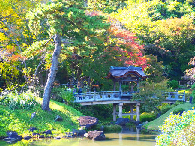 しかし、よくぞあちらこちらから移築したものだと思わざるを得ない。