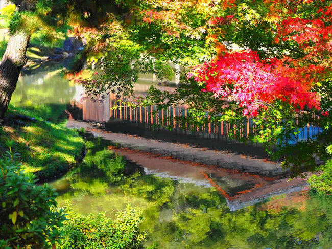 逆さ富士ならぬ逆さ古建築。