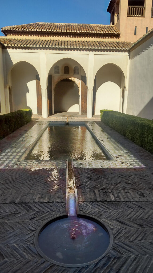 パティオもあります。特徴的な形なので気になりました。ChatGPTに聞いたところ「手前の丸い噴水から奥の長方形のプールへと水が流れ、周囲の空間を冷やす役割を果たしています」とのことでした。なるほど！