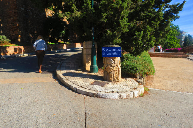 まだまだ登ります。