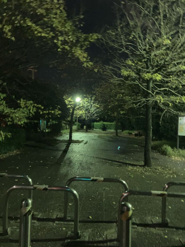 初年度はここの入口にエロ本が落ちていた