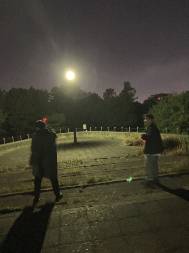 公園の端には当然誰もいないので