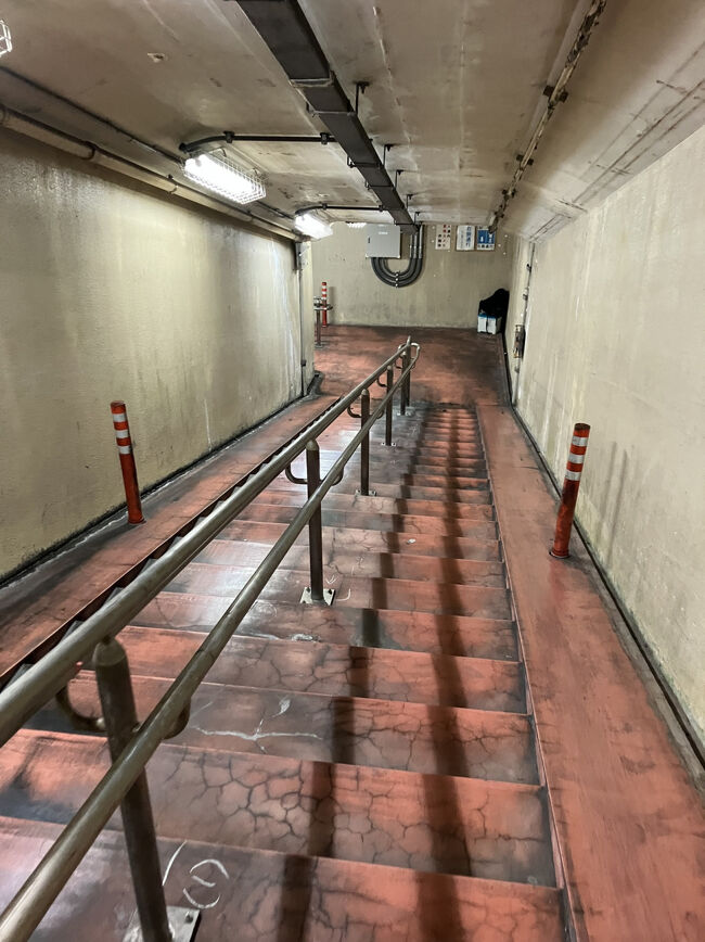 今年ももう終わりかと実感されられる場所ナンバーワンはやはりここ