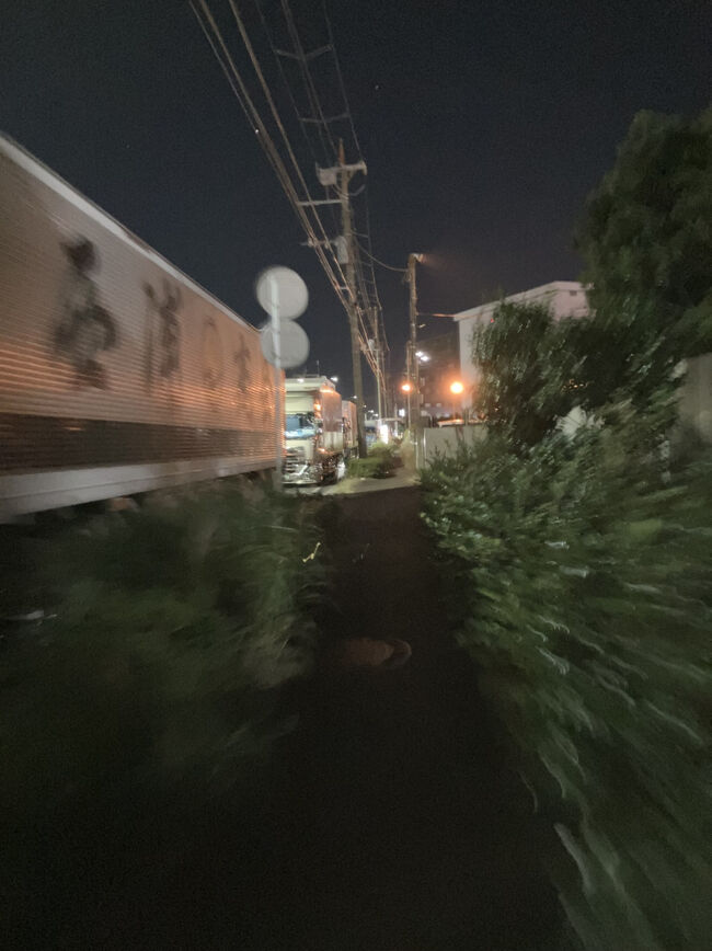 途中ファミマでファミチキを買い