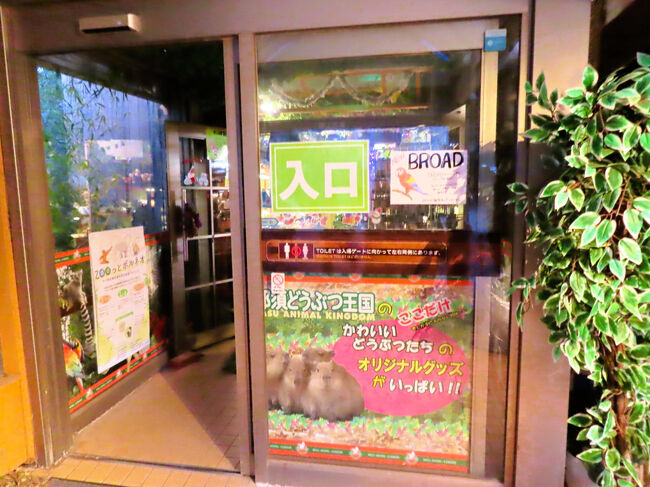 売店ピアポルタの入口<br /><br />前回より１ヶ月半しかたっていませんが、レッサーパンダの赤ちゃんのもなかちゃんに関連する新商品があるのを知っていたので、ここでの買い物も楽しみにしていました！