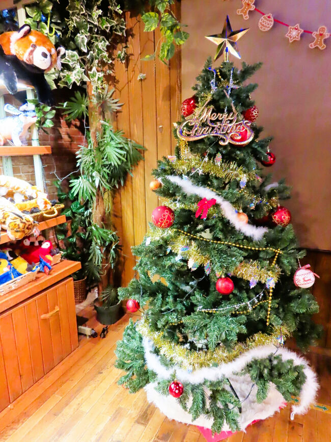 ぬいぐるみコーナーの奥にクリスマスツリー