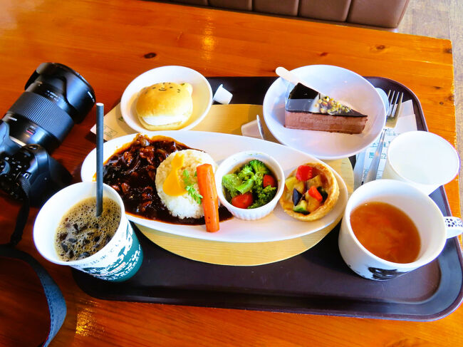 ヤマネコランチのセットで、アイスコーヒーとチョコレートケーキ<br /><br />実は私でラストで、完売したようです！<br />セーフでした！