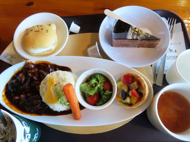 温野菜もキッシュも那須牛たっぷりのカレーも無農薬ヤマネコ米のごはんも、めっちゃうまい！<br /><br />串焼きベーコン食べた後だったので、量もちょうどよかったです。