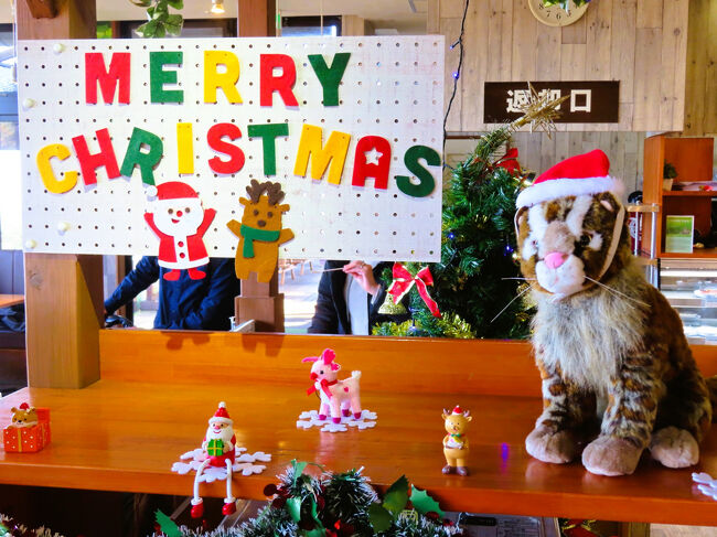 レストラン内にもクリスマスの飾りあり<br /><br />ツシマヤマネコのぬいぐるみが、サンタ帽をかぶっていました。