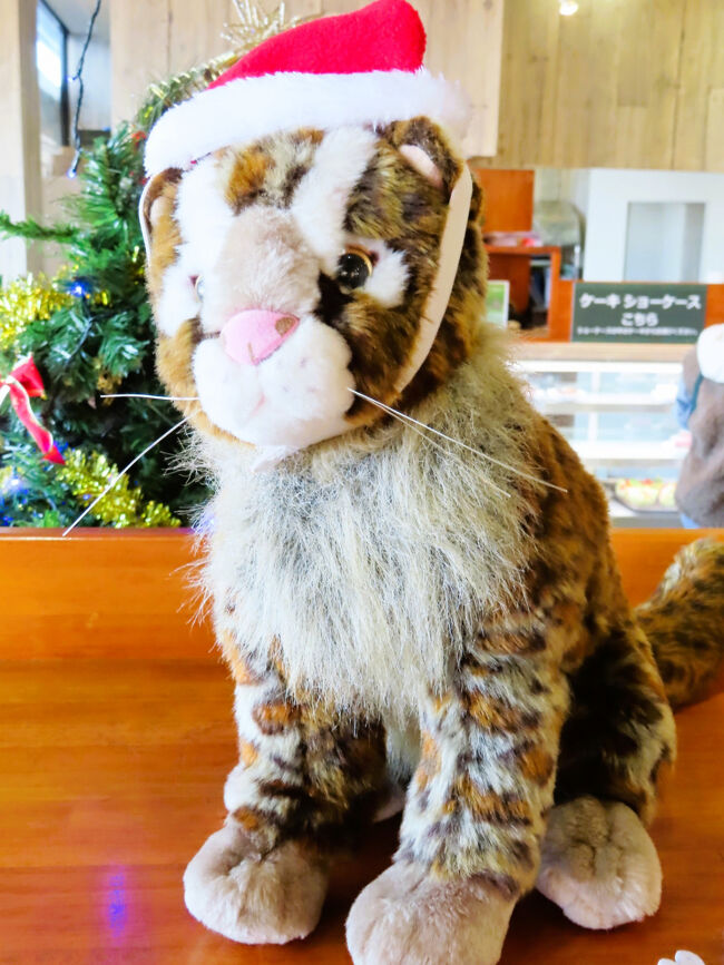 期間限定の装いのツシマヤマネコのぬいぐるみ<br /><br />私はチェックしていないのですが、たぶん売店ピアポルタで販売していそうです。