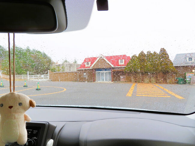 2025年11月18日（火）那須３日目＆那須どうぶつ王国３日目＆帰宅<br /><br />本日はホテルをチェックアウトするために、きのうより早く仕度をして出発したら、９時45分に那須どうぶつ王国に到着しました。<br />駐車場はすでに開いています。<br />本日はぐんと気温が低くなることは分かっていましたが、那須どうぶつ王国に近づいた頃、粉雪が降り始めたので、ちょっとあせってしまいました。<br />いくら冬タイヤにしたからといって、帰りが雪道だったら、運転は怖いです。