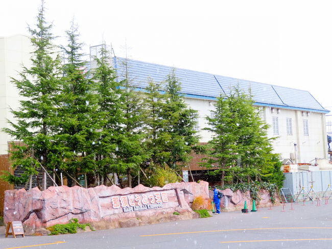 粉雪が降る中を、王国ゲートに向かう