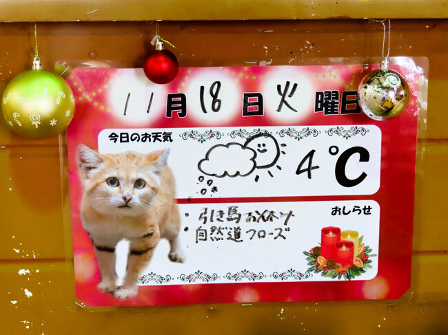 本日は王国ファーム側では、引き馬はお休み、自然道はクローズ<br /><br />気温４度は朝の時点だったと思います。<br />この時期はまだ、王国ファームが閉鎖になるほどではありませんでした。<br />ただ、王国ファームの引き馬だけでなく、王国タウン側でも、ワンちゃんのお散歩体験はお休みで、ふれあいエリアの外のワンちゃんは出ていませんでした。<br /><br />３日目の那須どうぶつ王国内のいろいろな写真や動物写真を含めたハイライトも、つづきの２本のハイライト旅行記と、その続きの動物メインの旅行記にまとめます。