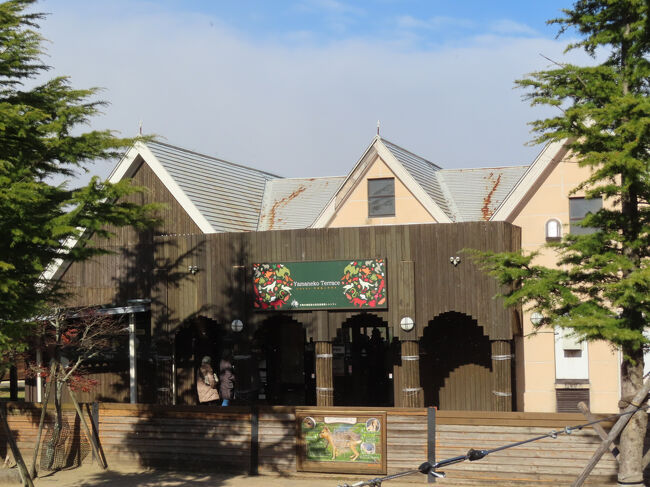 レストラン「ヤマネコテラス」を少し離れたところから見たところ<br /><br />このアングルは、ネコのショー「ザ・キャッツ」の会場入口前から撮りました。<br />この日のランチの注文は、きのうよりも列ができていて、10分はかかりましたが、それでも私が食事をしている間にずらっと列が長くなったので、空いているうちに潜り込めた方でした。