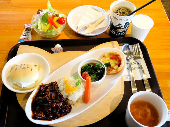 本日のランチも、ヤマネコランチ！<br /><br />気に入ったメニューは続けて食べたくなる私。<br />２日つづけてヤマネコランチで全然オッケー！<br />今回は、野菜サラダをセットに選びました。