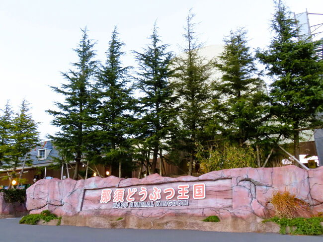 ２日半を満喫した2025年度最後の訪問となった那須どうぶつ王国のゲート前<br /><br />動物のシャッターチャンスについていえば、欲をかけばきりがないです。<br />現在の那須どうぶつ王国では、レッサーパンダへのエサやり時間が不定期になってしまったし、フタユビナマケモノなど、他の目当ての動物のごはんタイムも不定期だし、私はあちこちの動物を見に回ってしまうから、お目当てトップの動物たちのごはんタイムを逃すことも多くて、そのときはやっぱりがっかりします。<br />でも振り返れば、予想が当たってごはんタイムに遭遇できたこともあるし、今回は１番目当てのレッサーパンダの赤ちゃんのもなかちゃんのシャッターチャンスがあまりなくてもがっかりすまい、と覚悟していたけれど、思った以上にあったし、クリスマス仕様の園内や、クリスマス衣装のワンちゃんたちなど、他にも目当てを逃さずに済んだので、今回も総じて大満足の再訪となりました。