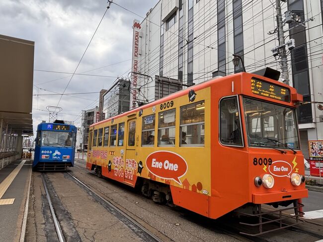 荷物を預け、徒歩で朝市へ行きぶらっとします。<br />妹がイクラに釘付けですが、後で買うことにし市電で五稜郭へ向かいます。