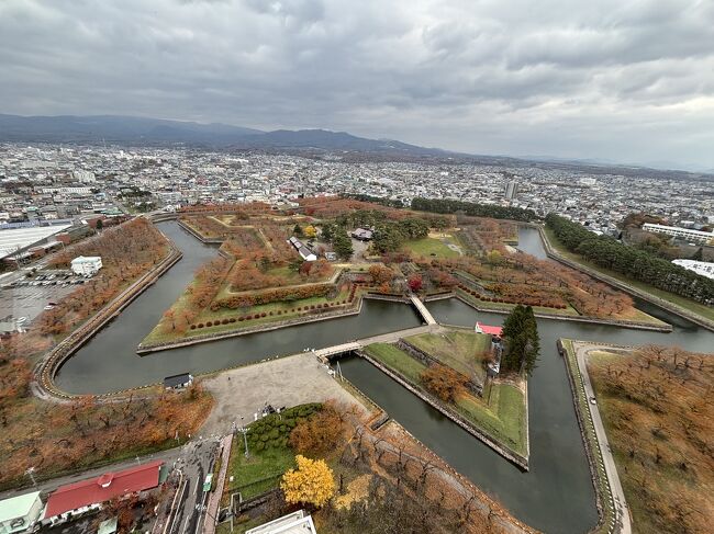 展望台から見る紅葉は終わりに近づいていましたが、とても綺麗。