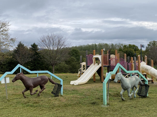 この馬たちはどうやって楽しむのかな？