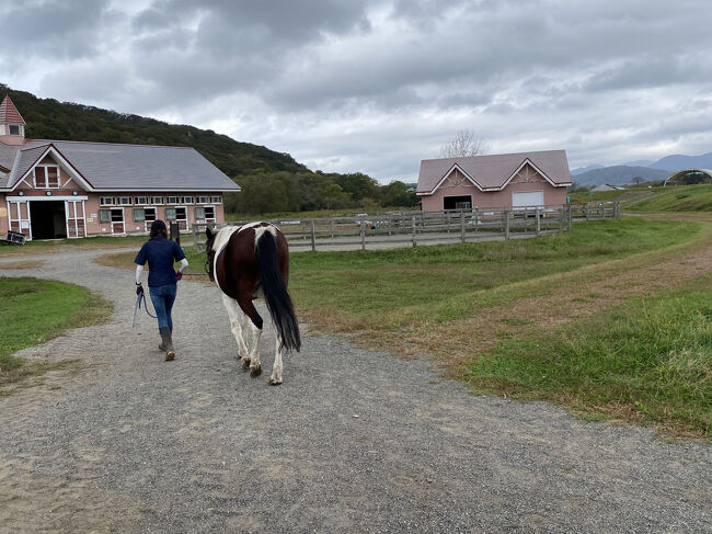 お世話しているスタッフさんに写真をお願いしすると笑顔で撮らさせていただけました。笑顔が素敵なスタッフさん。馬と暮らしているとやさしくなるんだろうな