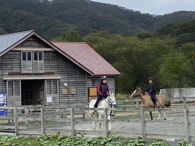 馬に乗ると視界が意外と高いんですよね
