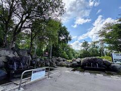 ほどなくして東川町の大雪旭岳源水公園に到着。しかーし当日は熱波の影響かバッタが大量発生しており虫が苦手な人には厳しい環境で家人は車の外に出れず。