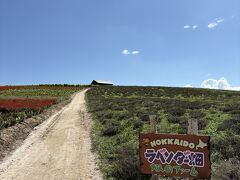 8月12日
この日から二日間、帯広方面にキャンプに出かけます。我が家の夏の北海道旅行で帯広を訪れるのは意外にも初めて。
道中、かんのファームで休憩。ラベンダーはほぼほぼ終わってましたが、気持ちのいい場所です。