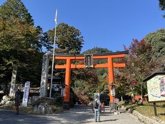 前々日の安土城跡（登山）と前日のゴルフ観戦で疲労困憊のため、この日はゆっくり目のスタート。１０時ごろにホテルのある石山からまずは次に泊まる京都のホテルにJRで荷物を預けに行ってから滋賀に戻ってきました。

JRを乗り継いで比叡山坂本駅まで行き、そこからバスで日吉大社へ。（ここでは日吉大社前バス停で降りるのではなく、終点のケーブル坂本駅まで乗った方が坂道を登らなくていいようです。同じバスで次のバス停まで乗った人たちが坂を下ってくるのが羨ましかったということで印象に残ってます笑）
